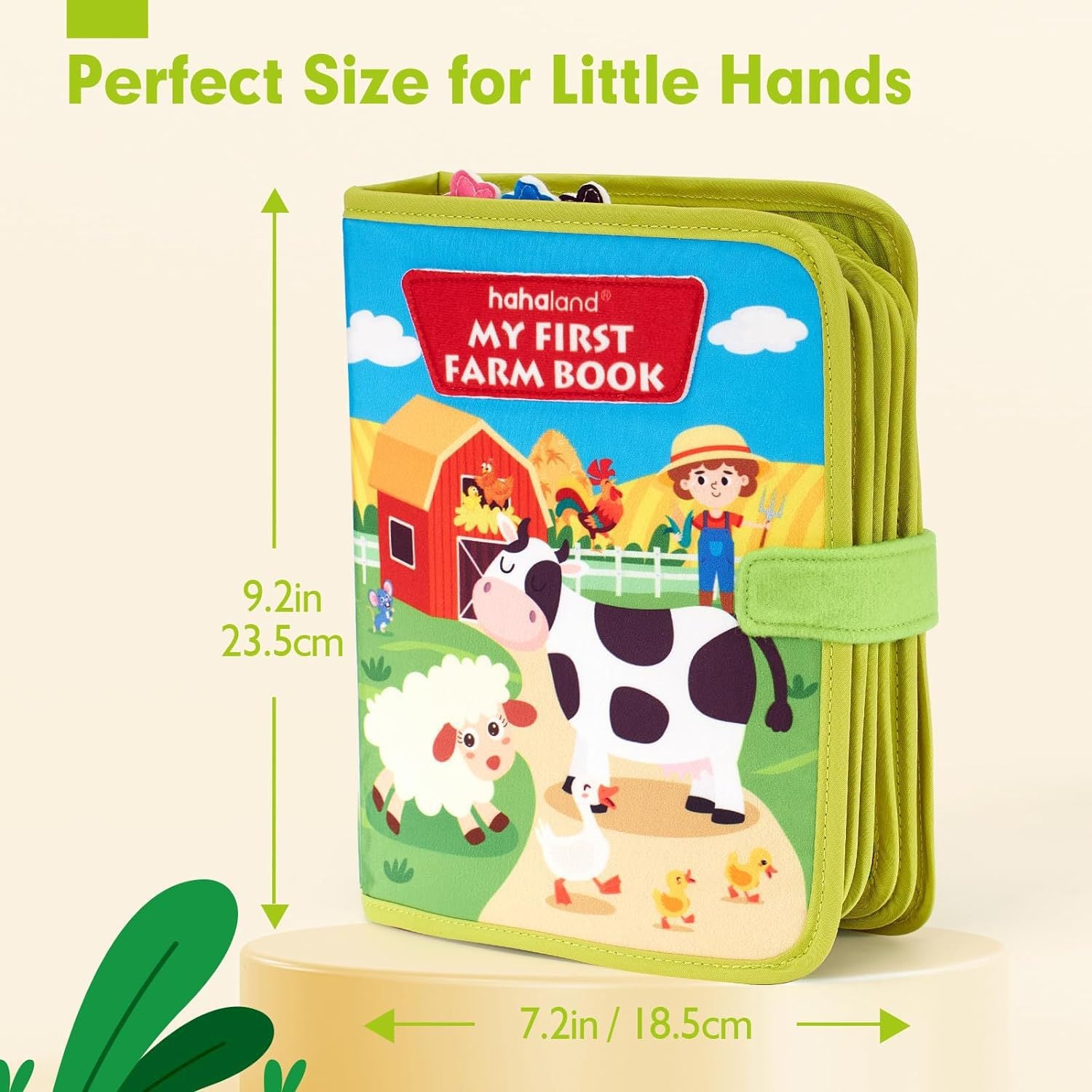 Early Education Learning Story Book | Chill Fun Mall