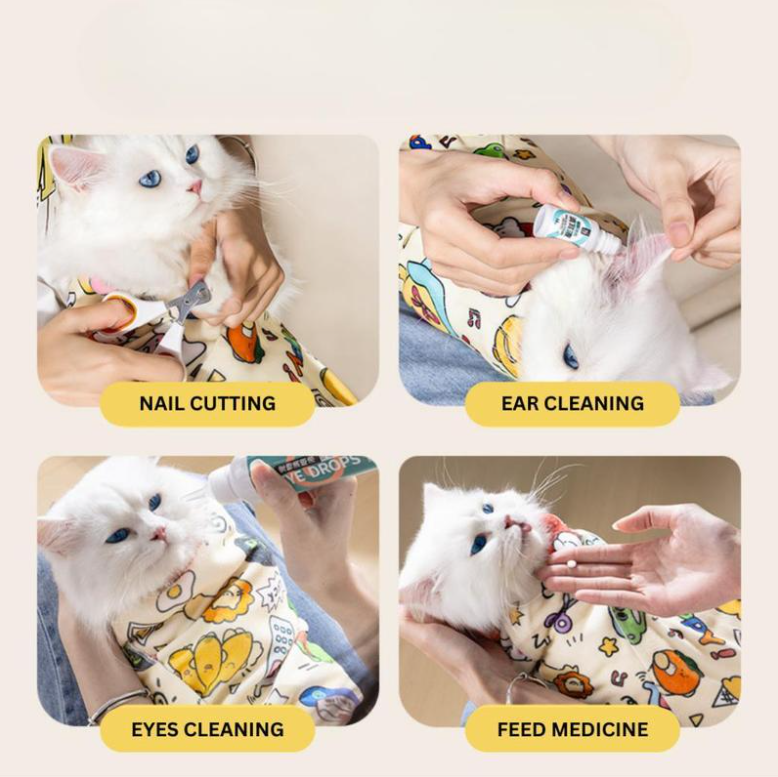 Steps of pet care including nail cutting, ear cleaning, eye cleaning, and feeding medicine with a white cat.