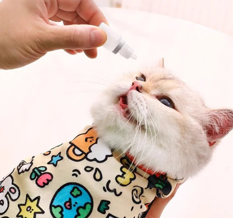 Cat wearing a colorful bandana being given a pill by a hand
